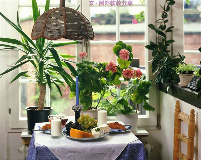 家里植物這樣擺，打造”另類“居室（一）