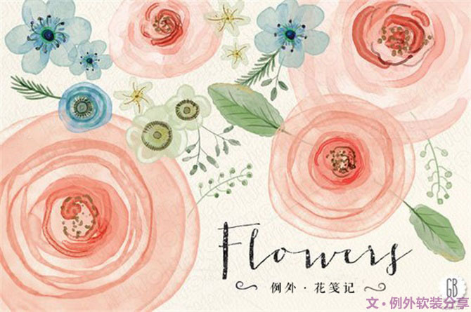 【例外.花箋記】洋牡丹，花叢中的人氣精靈