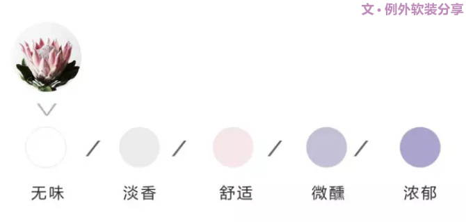 【例外·花箋記】沒(méi)有哪個(gè)姑娘能拒絕這樣一支奇葩！-別墅設(shè)計(jì),軟裝設(shè)計(jì),室內(nèi)設(shè)計(jì),豪宅設(shè)計(jì),深圳例外軟裝設(shè)計(jì)公司